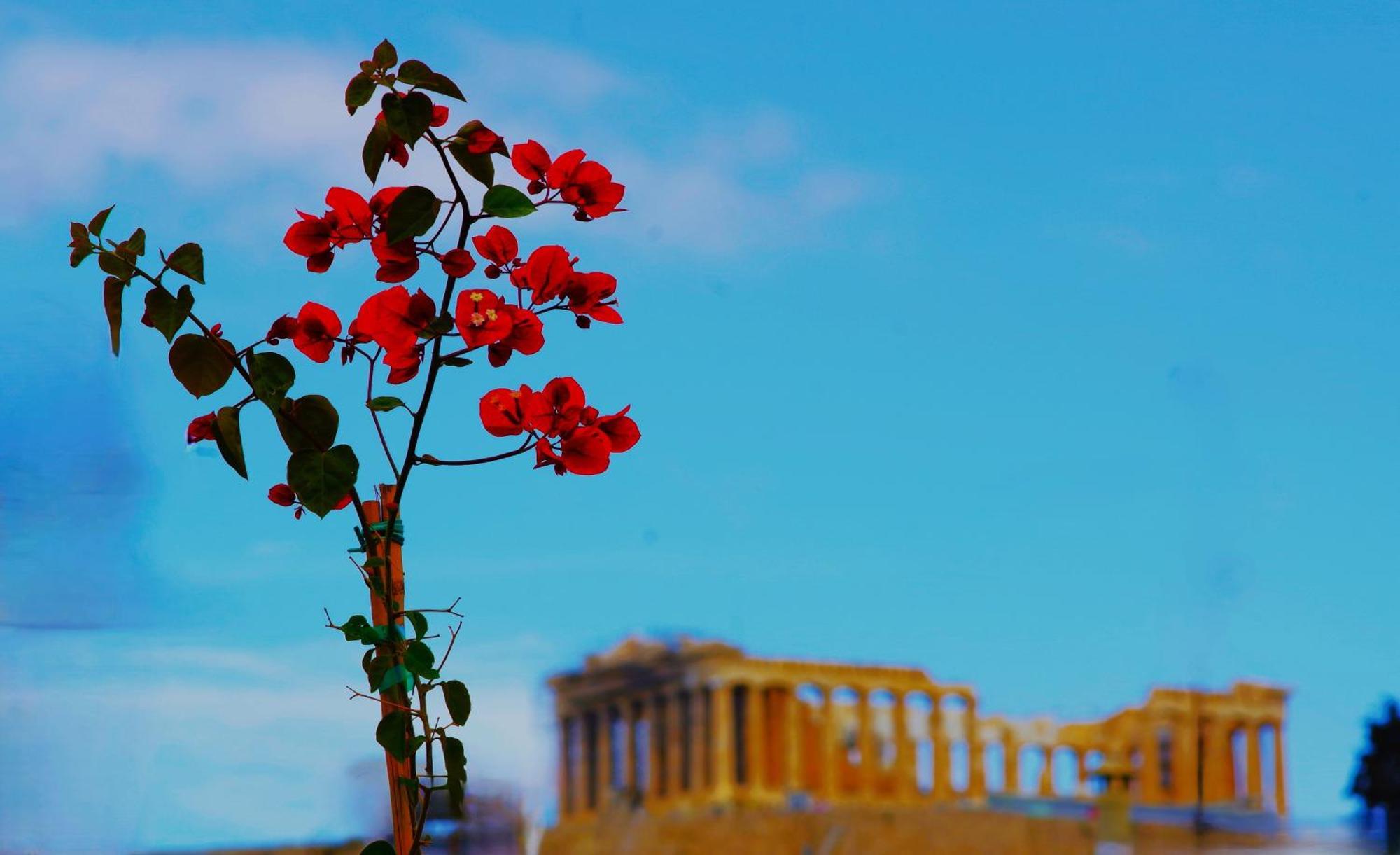 Absolute Athens Acropolis View Apart otel Dış mekan fotoğraf