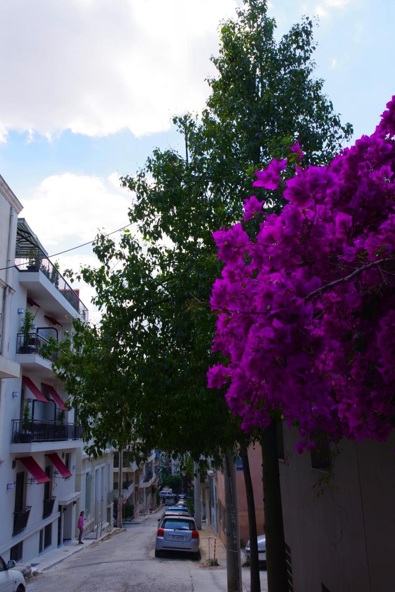 Absolute Athens Acropolis View Apart otel Dış mekan fotoğraf